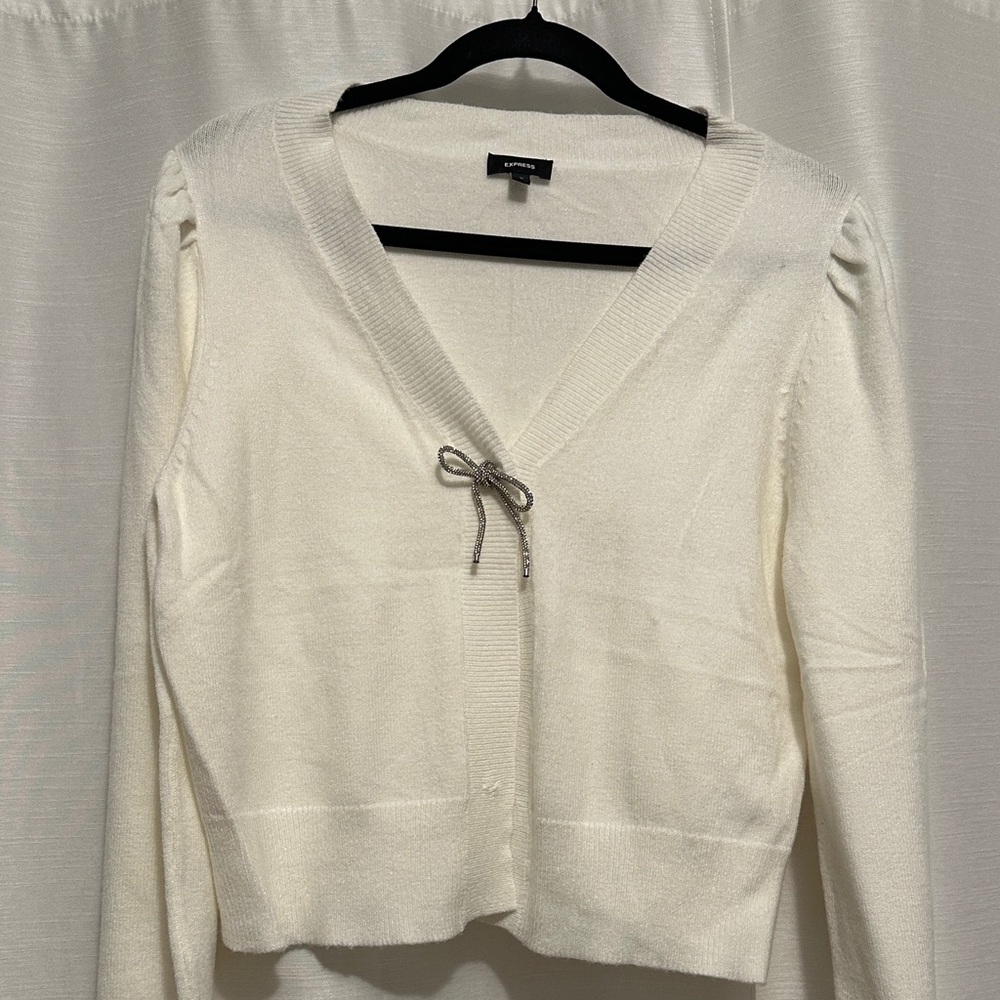 Express embellished holiday sweater